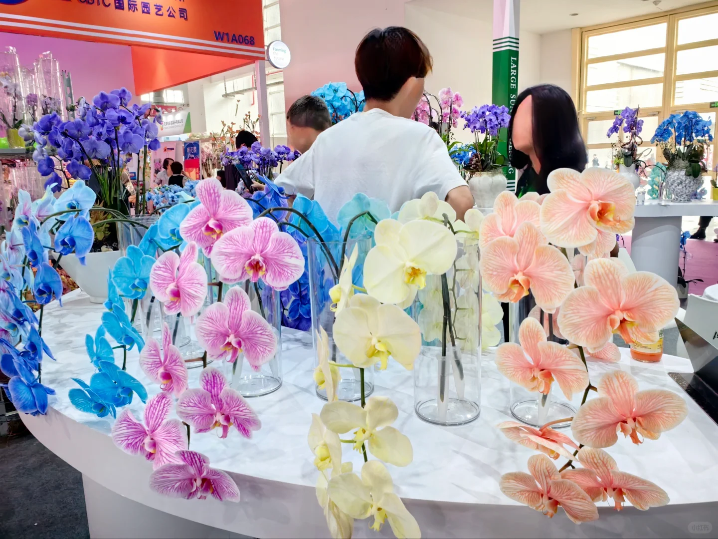 中国国际花卉园艺展览会（三十）