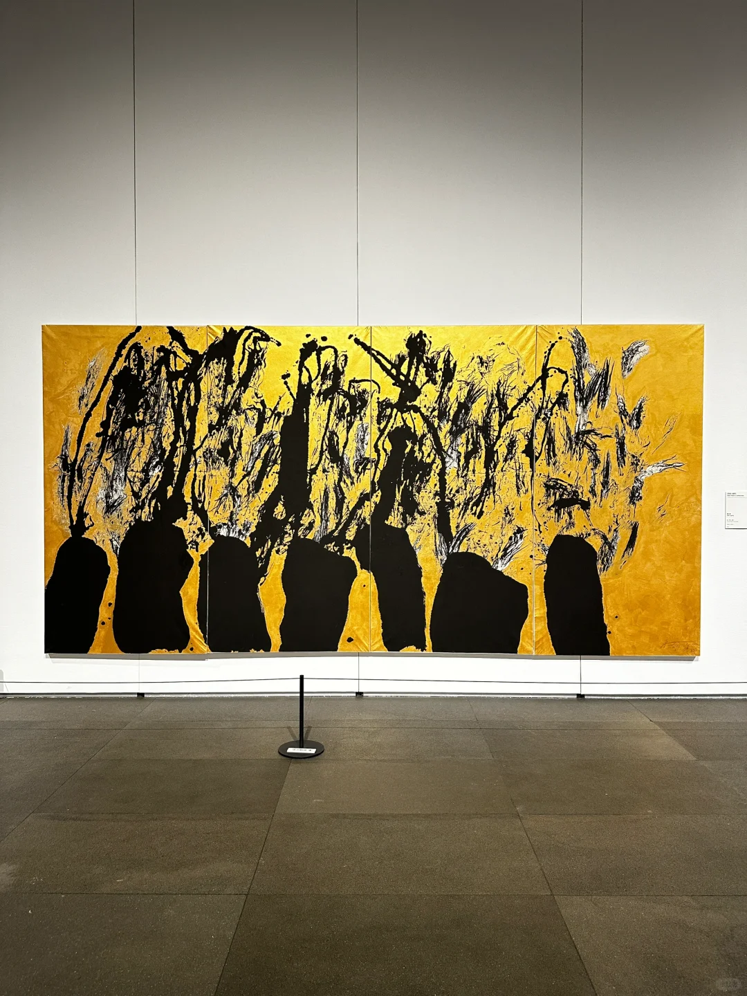 深圳新展！文字艺术…太震撼了！（live图)