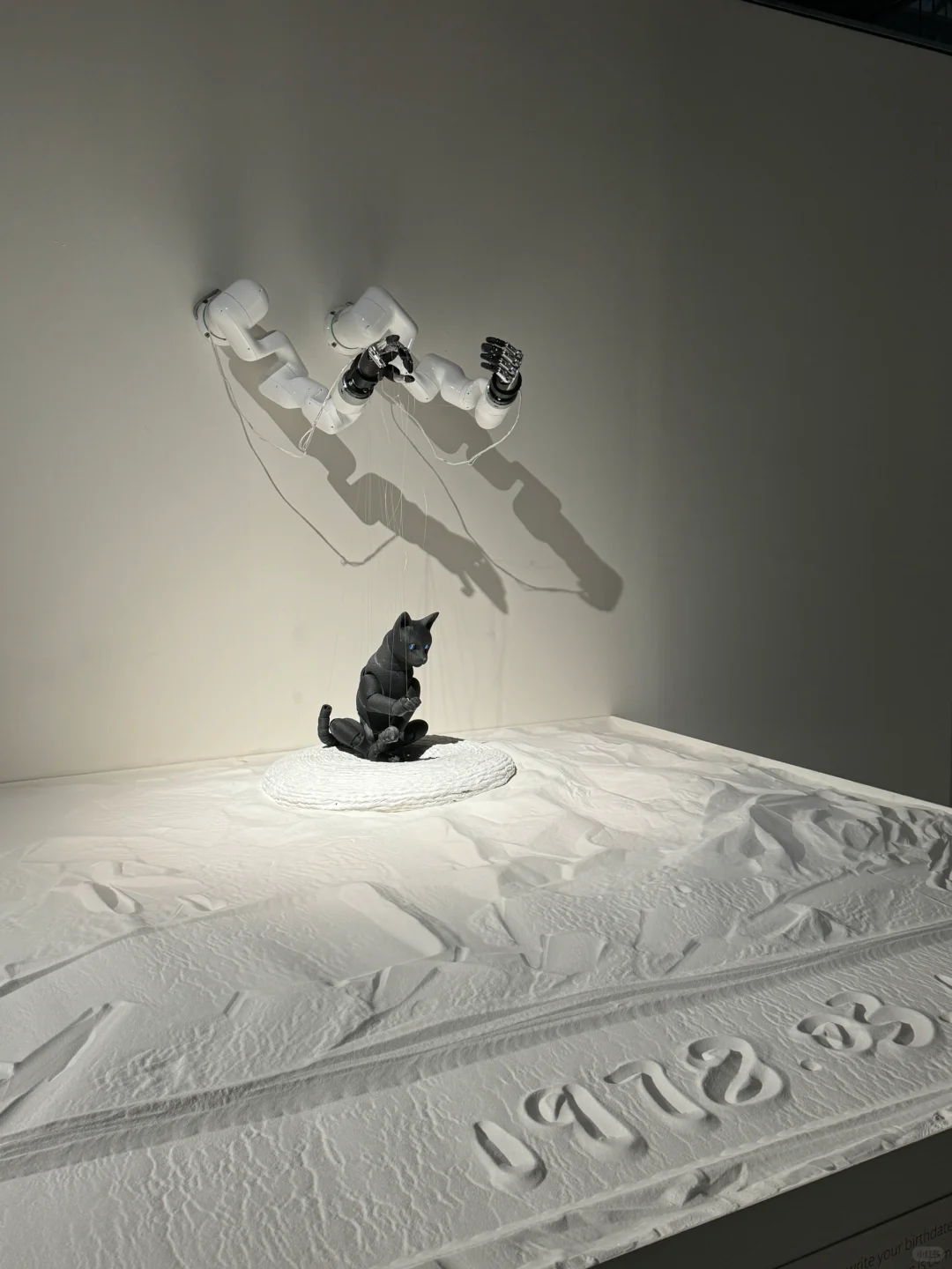 澳门！新展！免费！好智能啊！