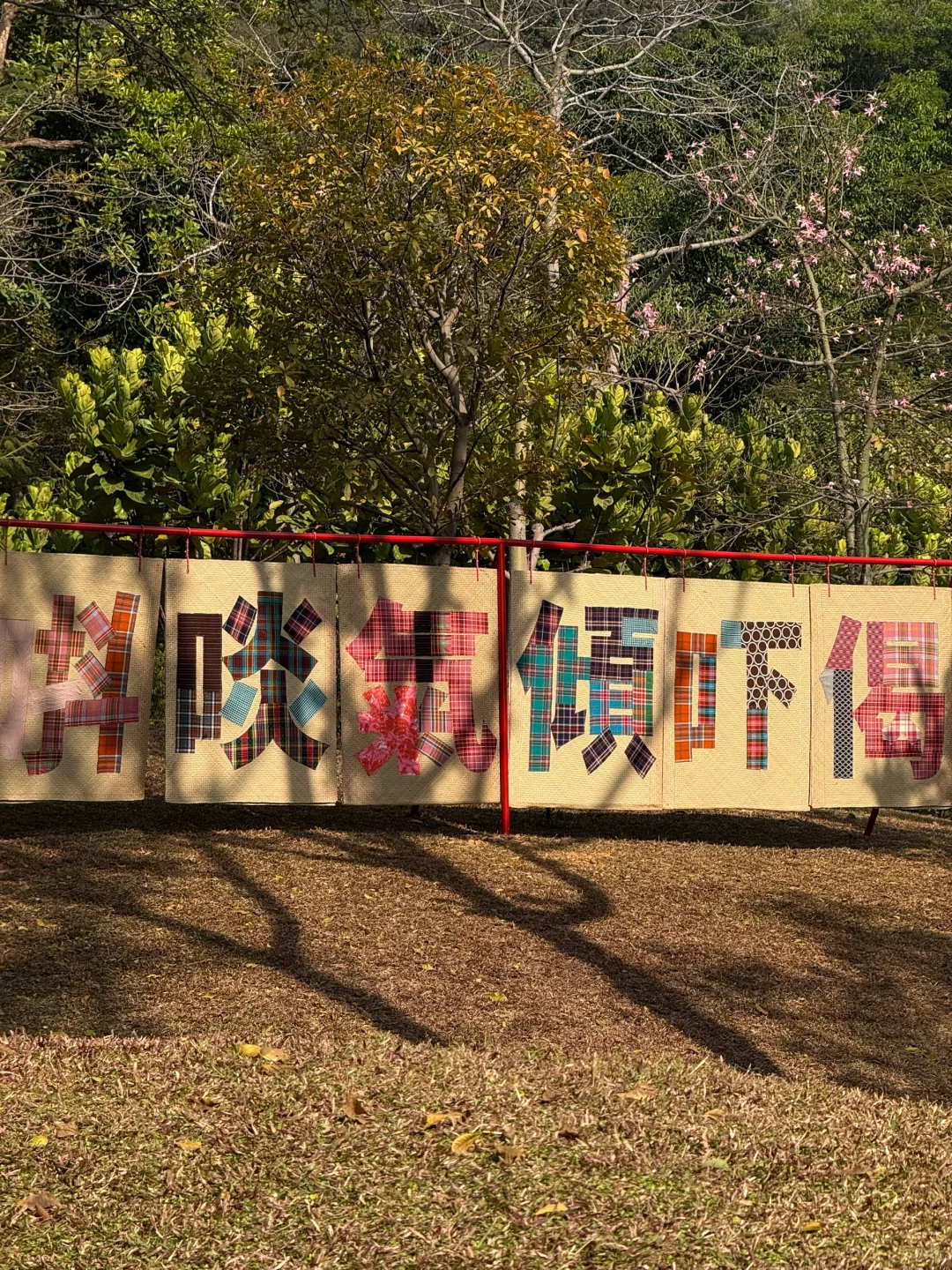 新年?云溪植物园Citywalk！美成莫奈花园！！！