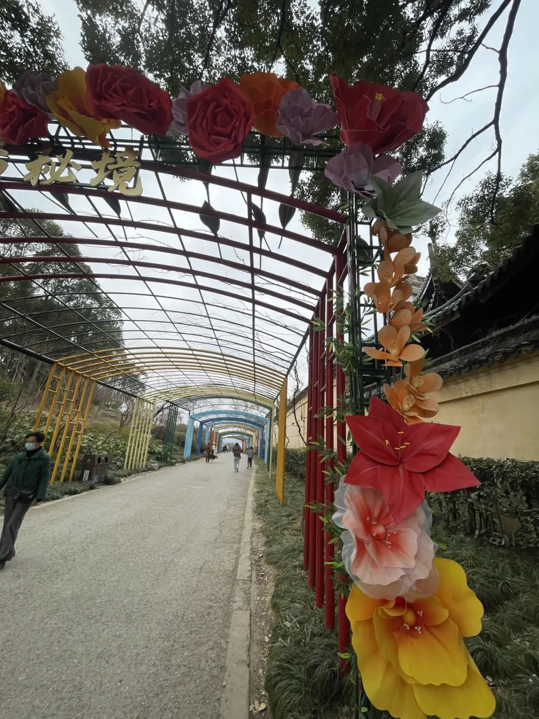 蜡梅寻春，年味浓就在梅园