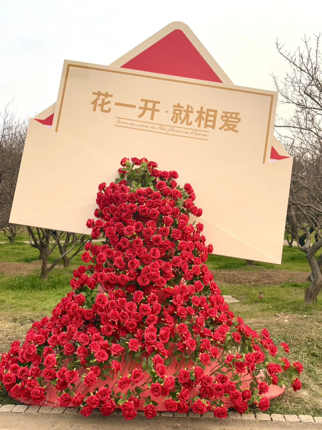 央妈审美下的梅园真的爆美‼️