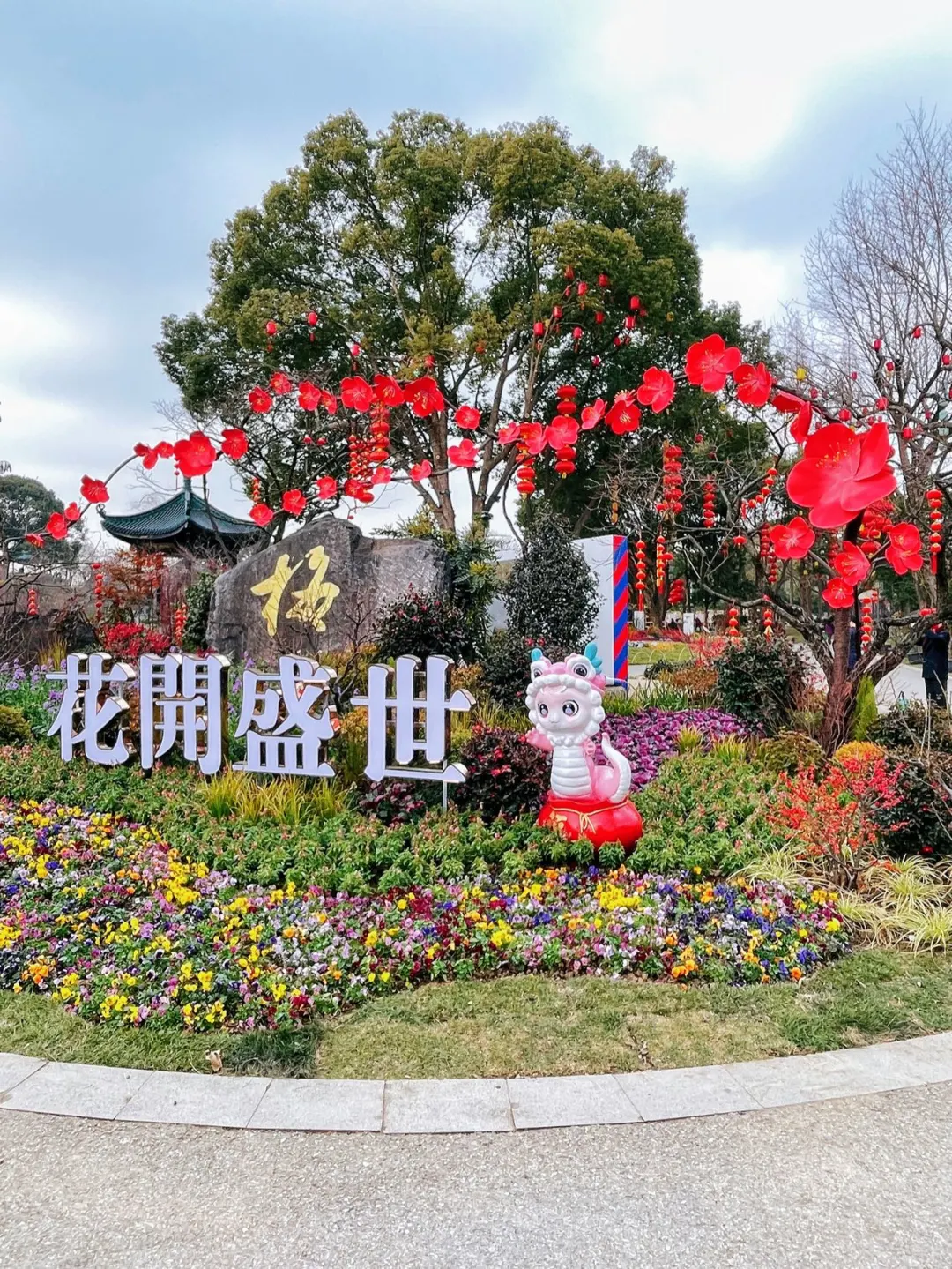 蜡梅寻春，年味浓就在梅园