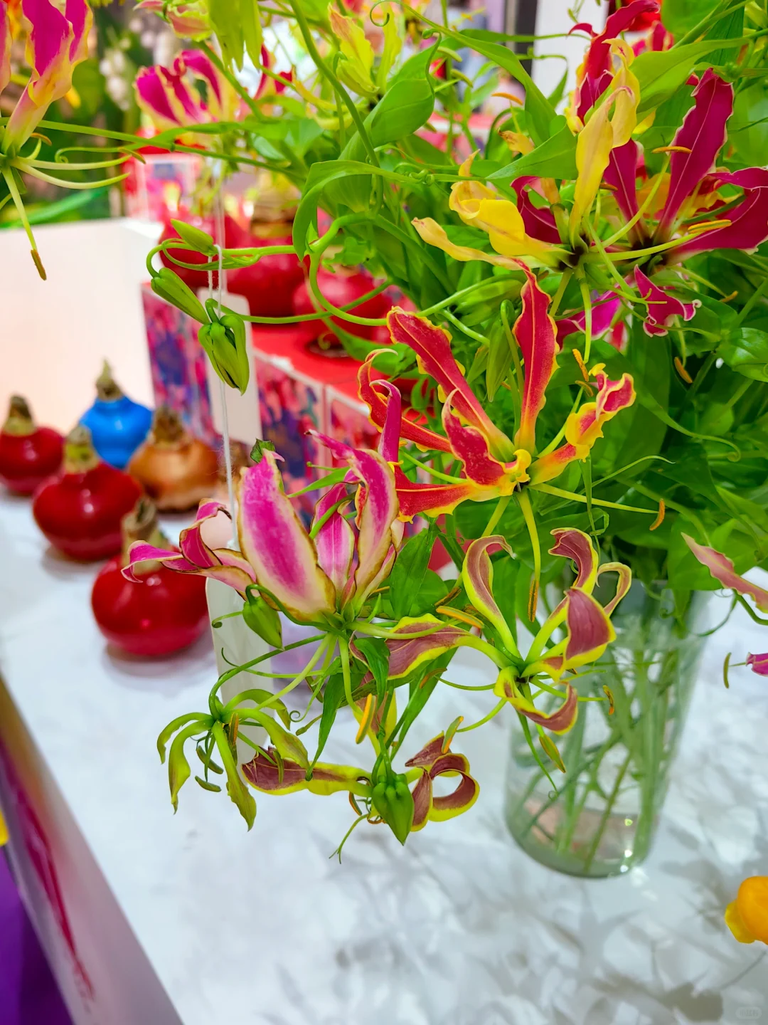 中国国际花卉园艺展览会（二十八）