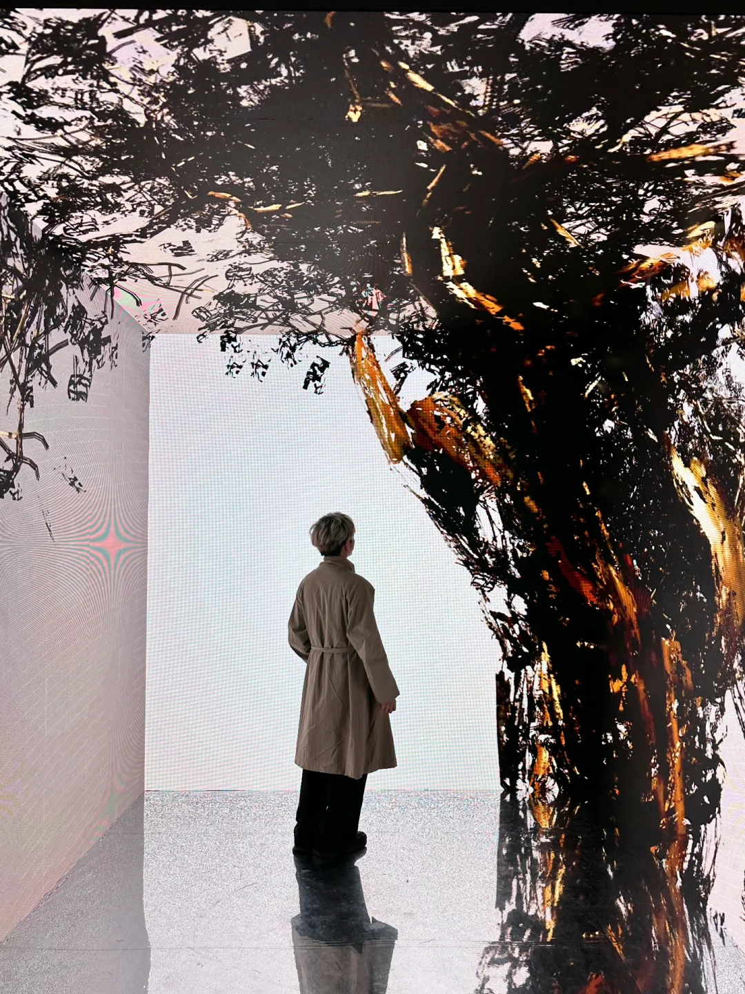 深圳新展！文字艺术…太震撼了！（live图)