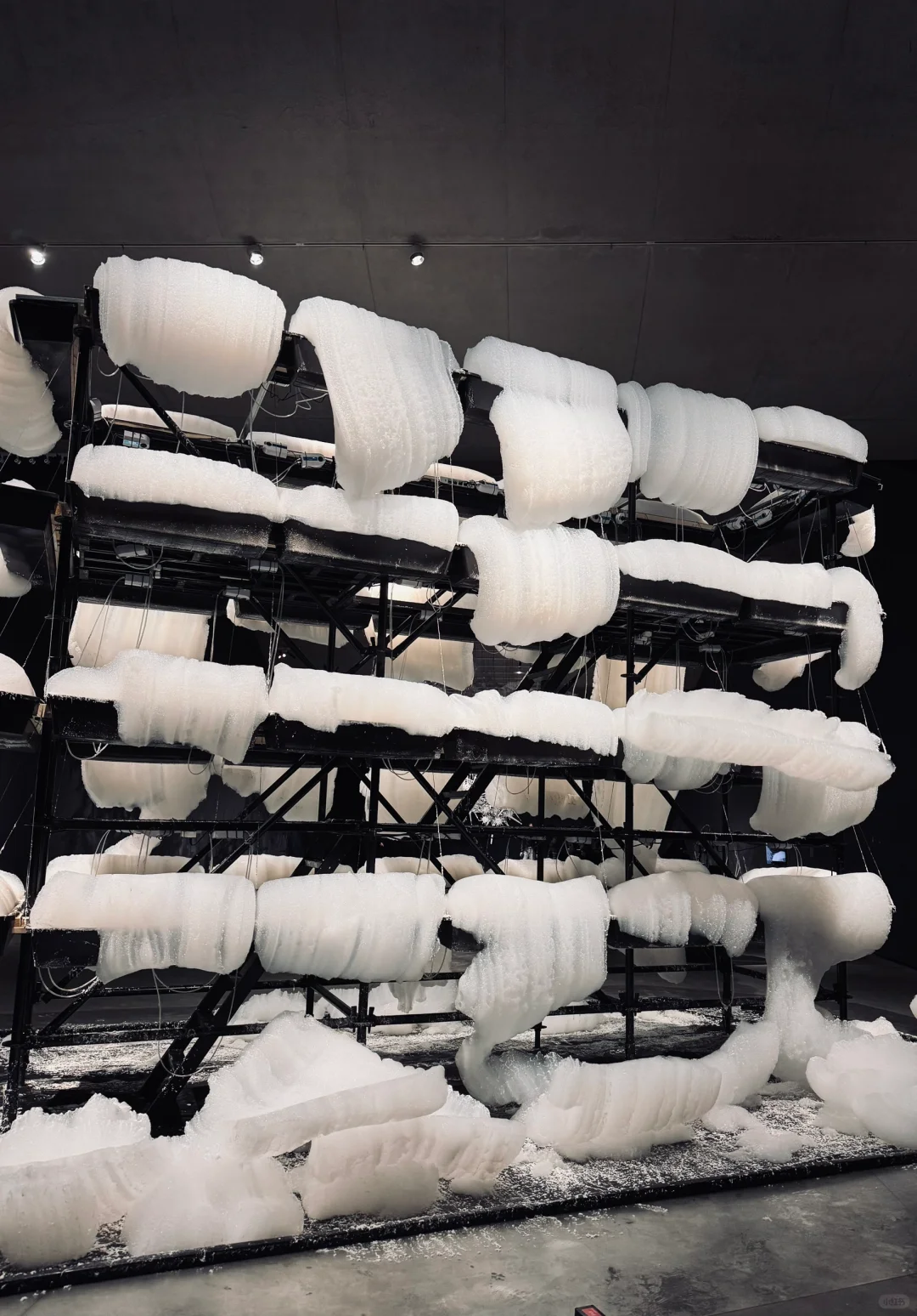 798本月值得去的展览!