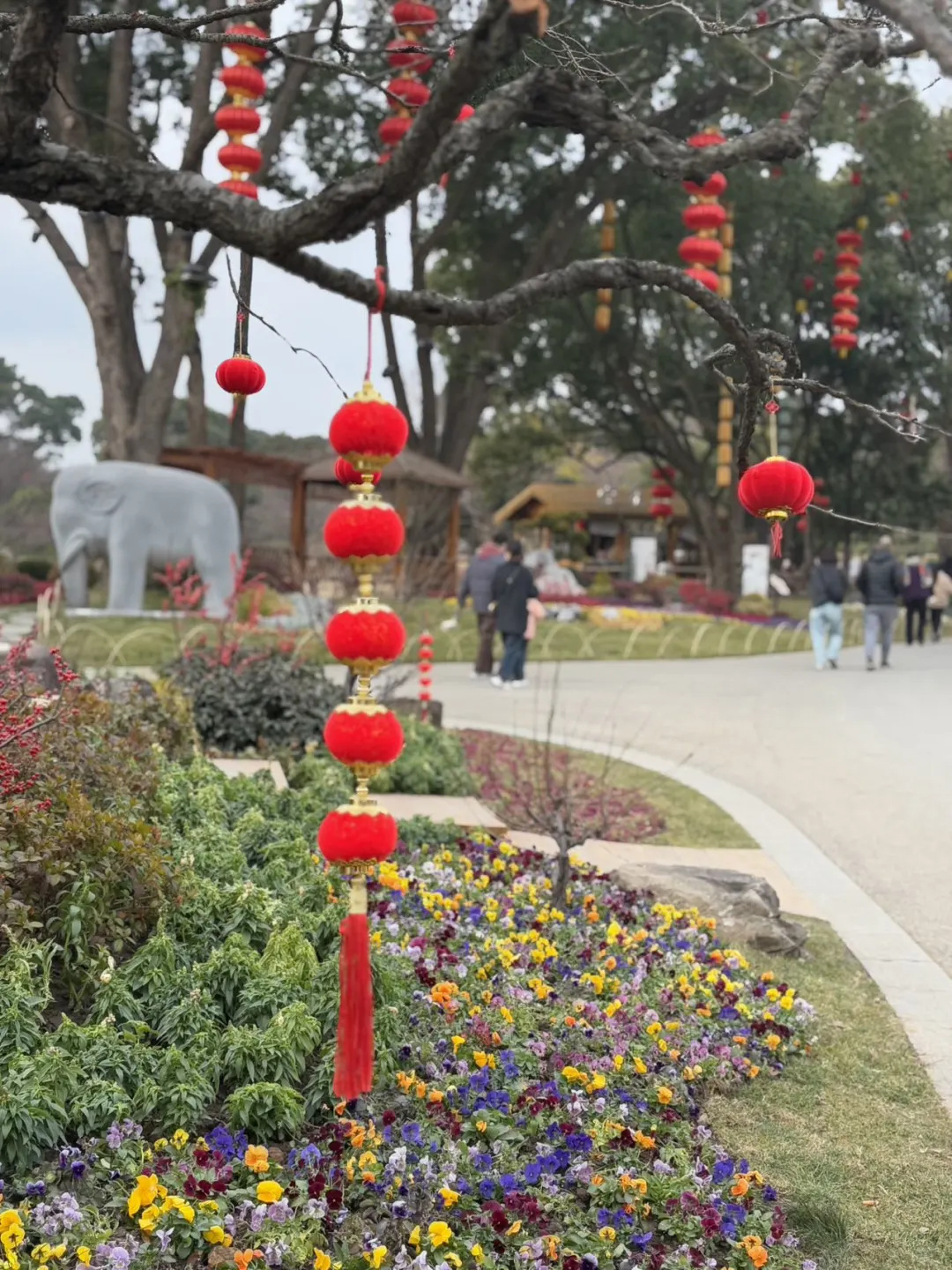 央妈审美下的梅园真的爆美‼️