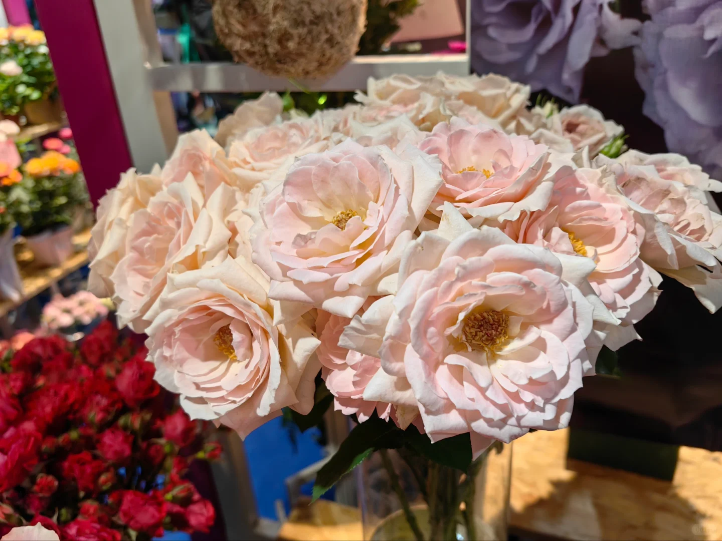 中国国际花卉园艺展览会（二十九）