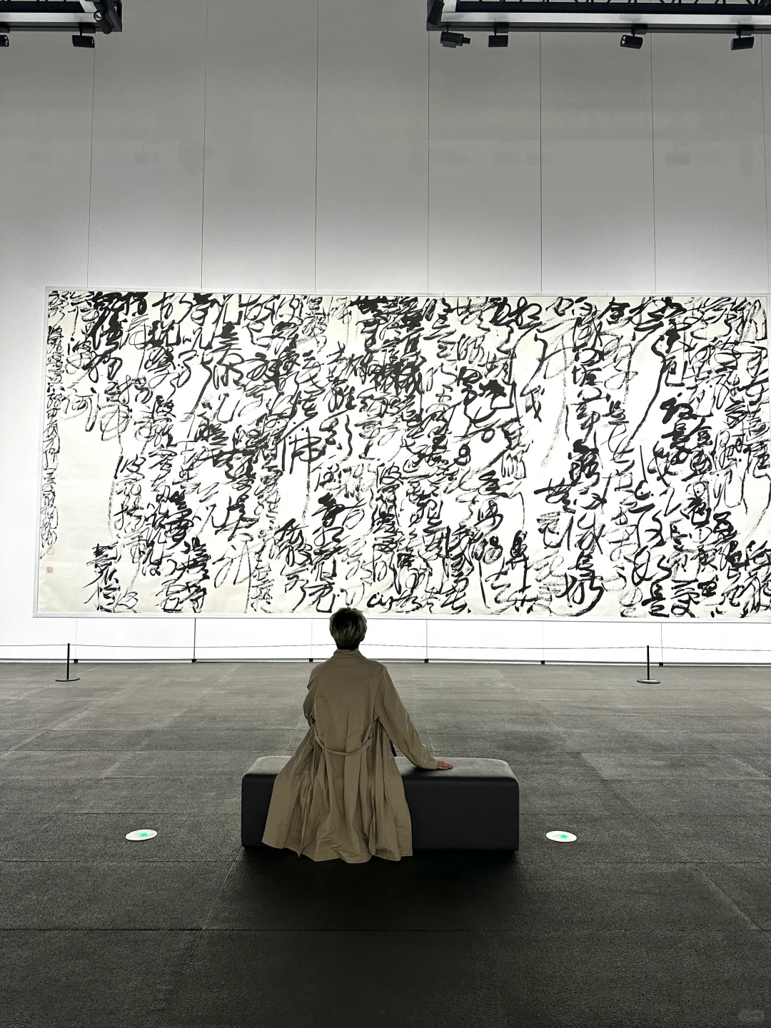 深圳新展！文字艺术…太震撼了！（live图)