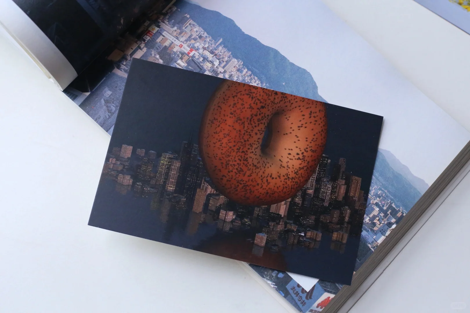 不泛滥艺术家|路淞 Song Lu