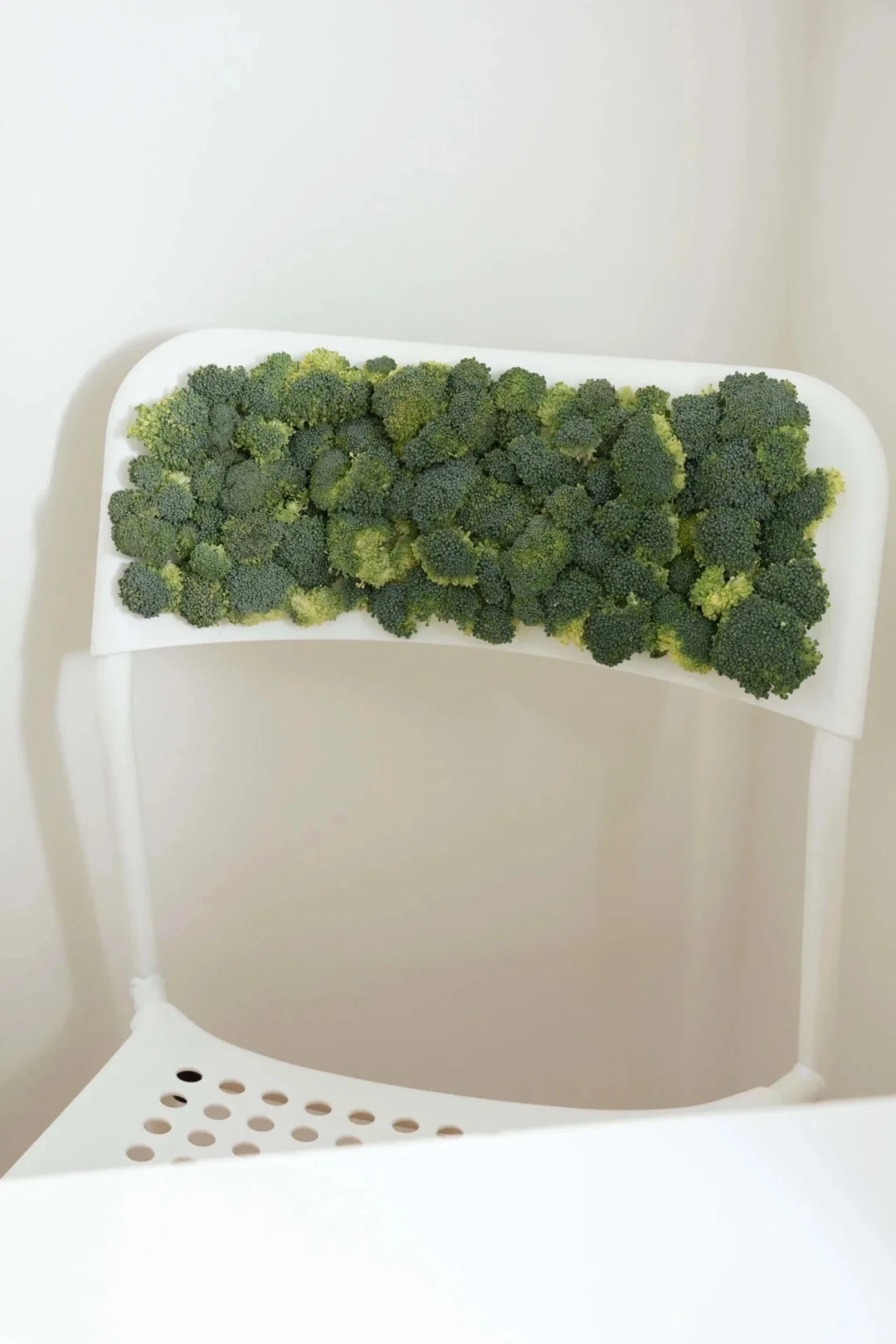 不泛滥艺术家|路淞 Song Lu