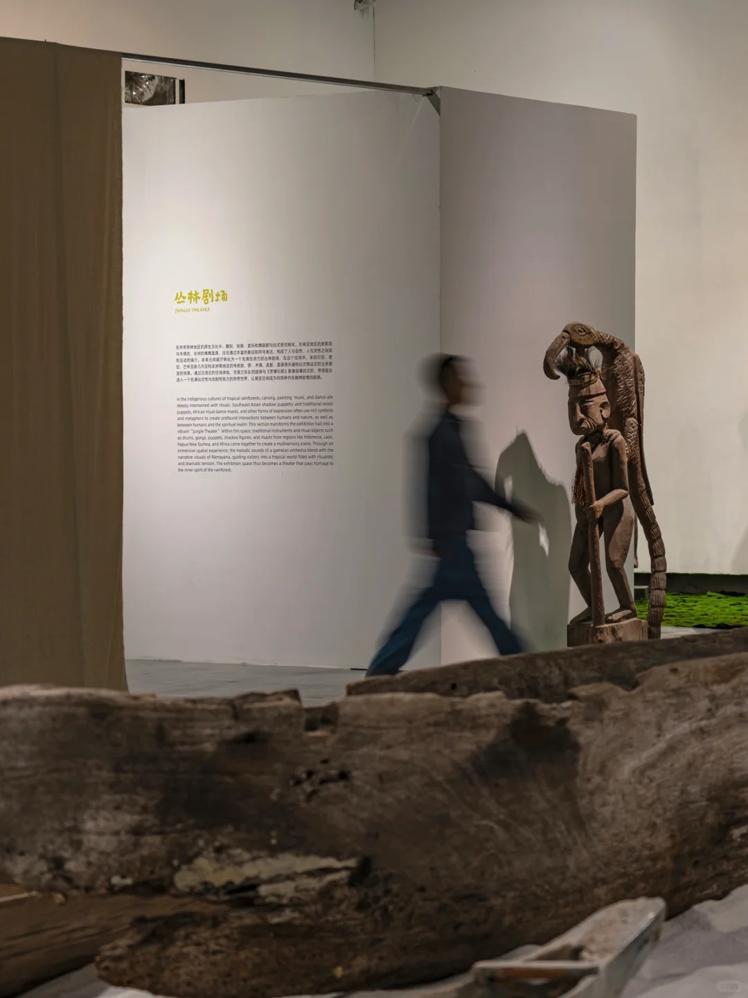 见世面了！居然在华侨城看到热带雨林