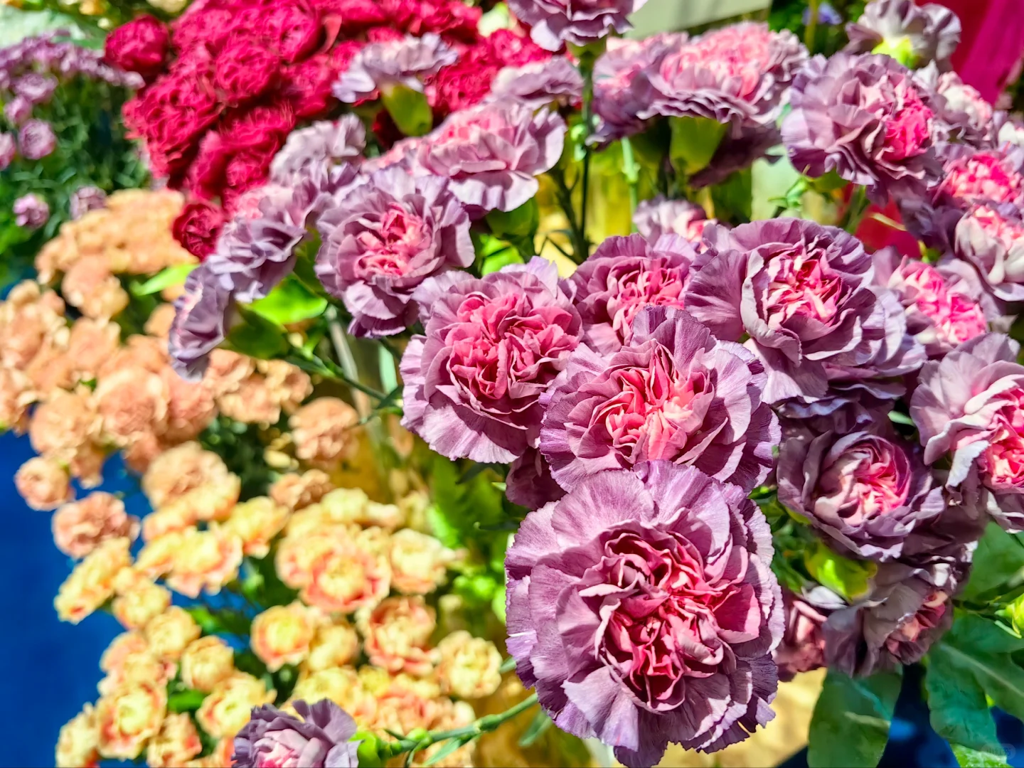 中国国际花卉园艺展览会（二十九）