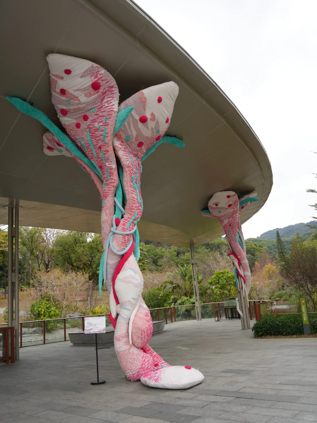 春节小众宝藏地|附广州园林博览会游览攻略