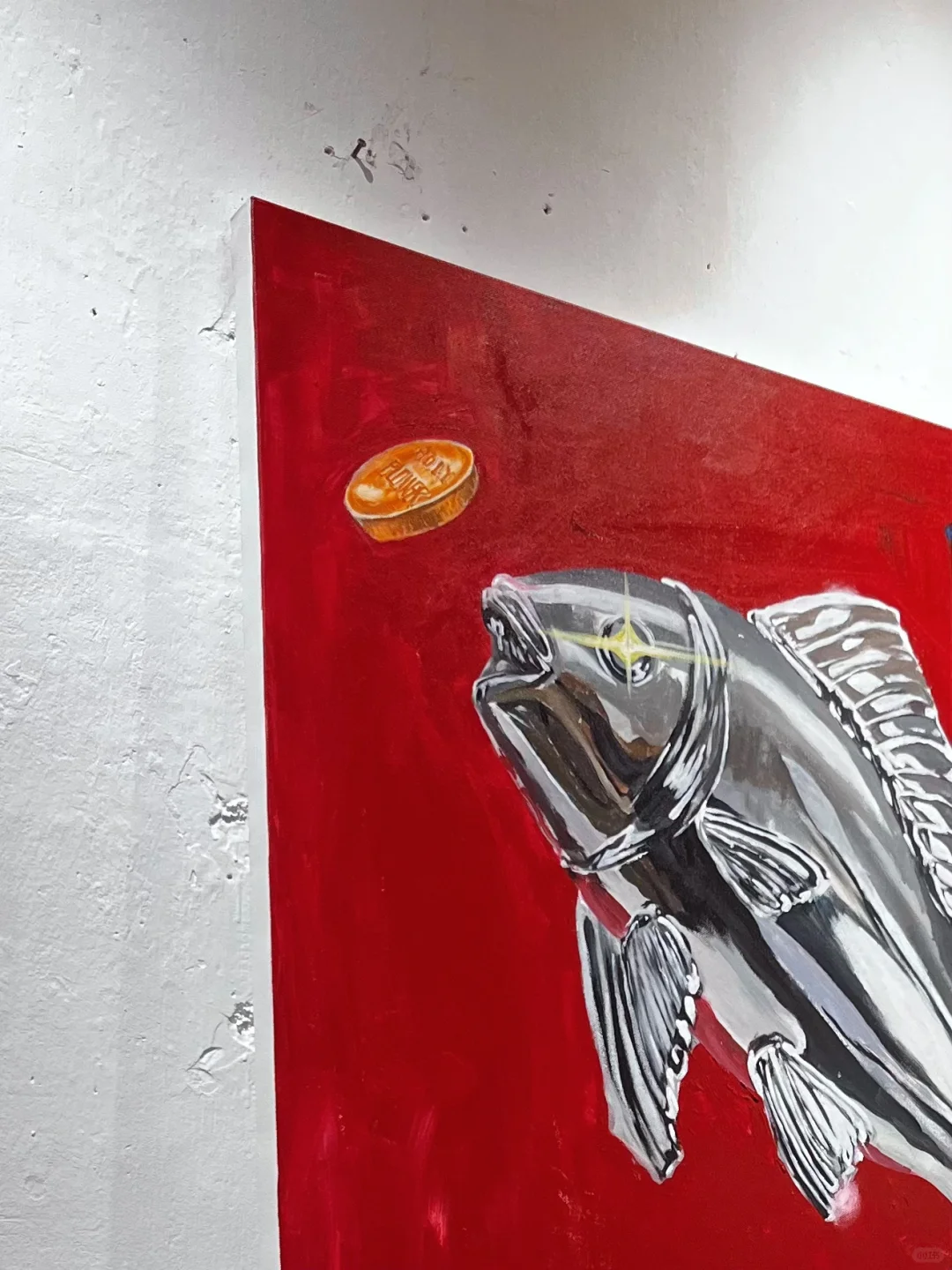 泉州新展?｜鲜猛花开??