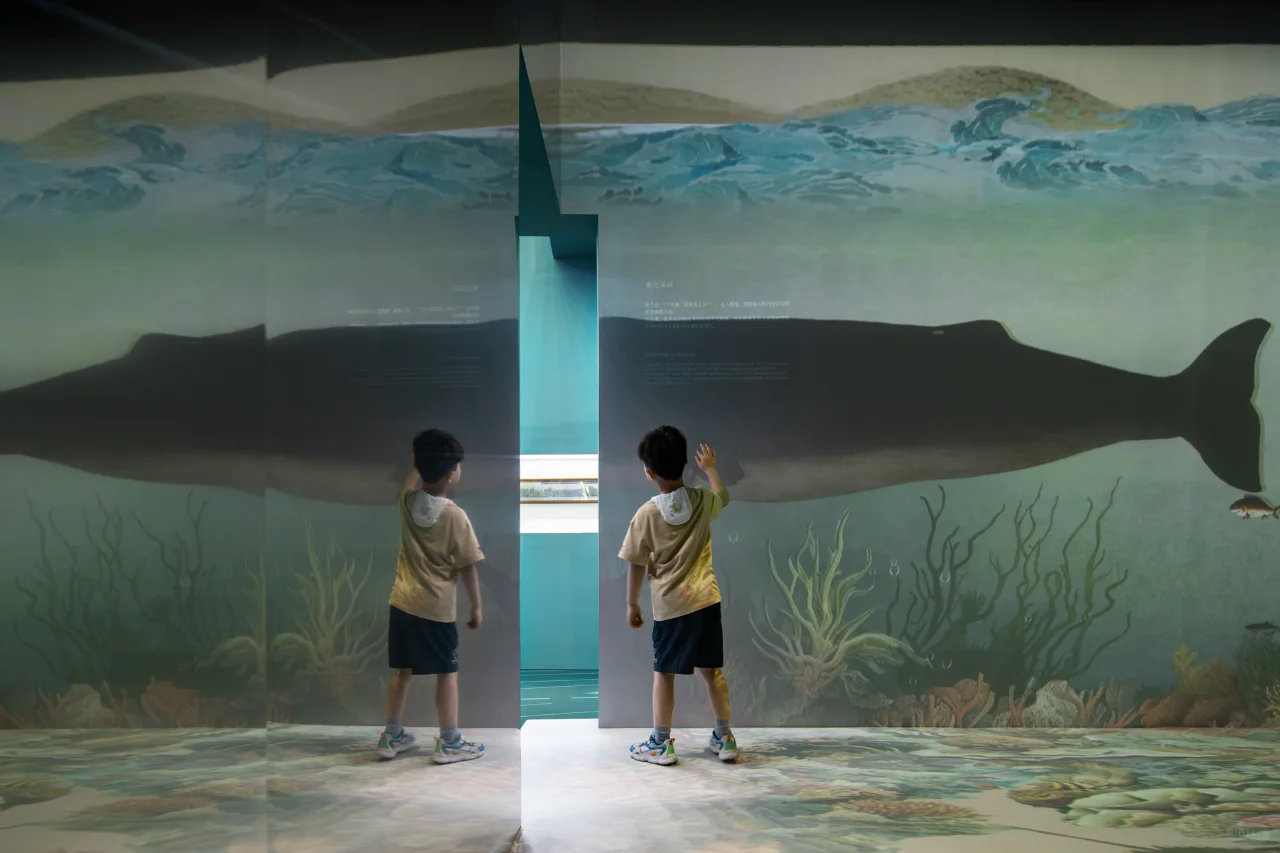 突破传统会展策划与空间设计 — 渔业博览会