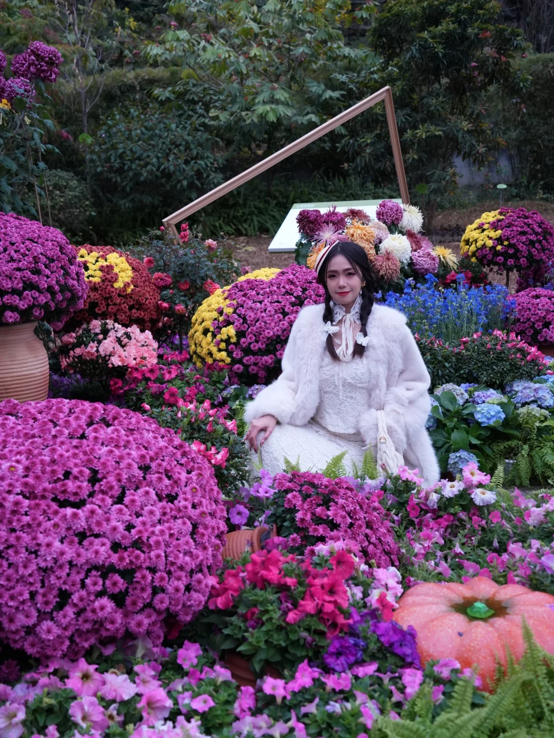 春节小众宝藏地|附广州园林博览会游览攻略