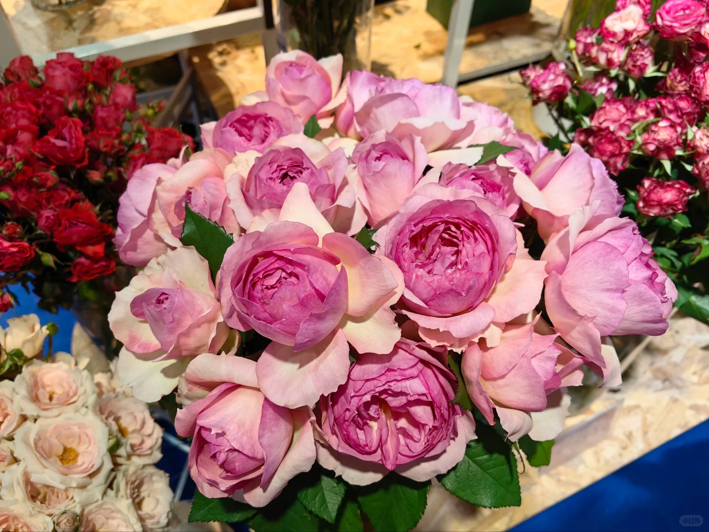 中国国际花卉园艺展览会（二十九）