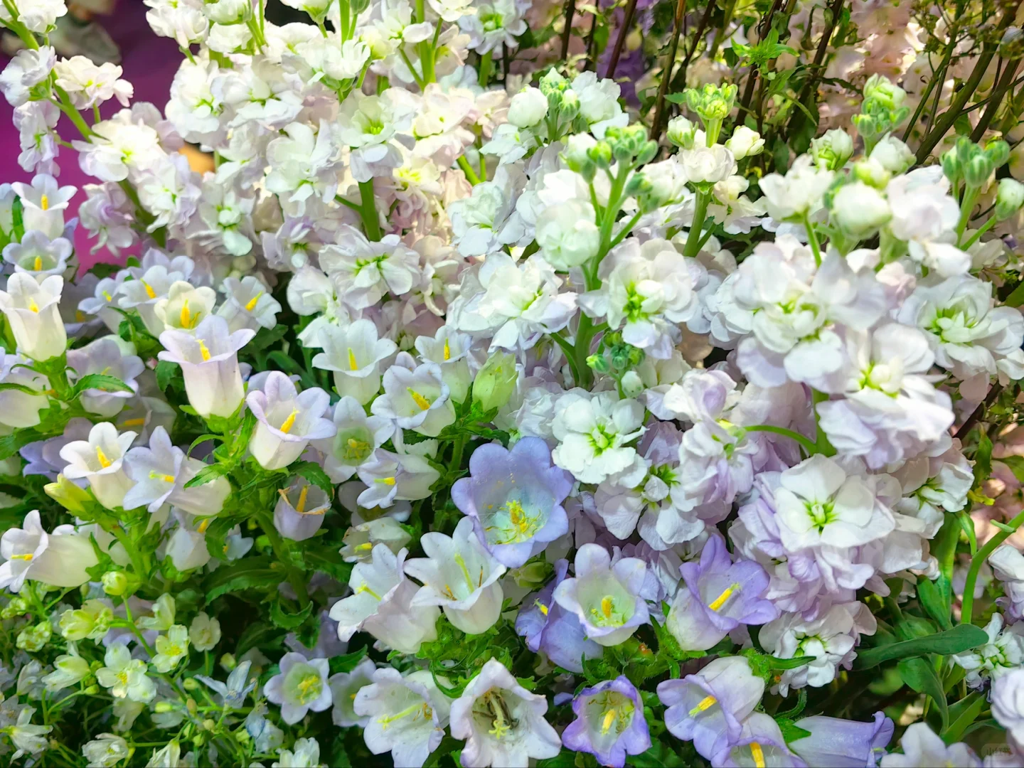 中国国际花卉园艺展览会（二十九）