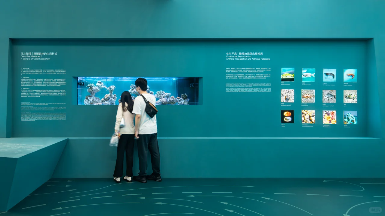 突破传统会展策划与空间设计 — 渔业博览会