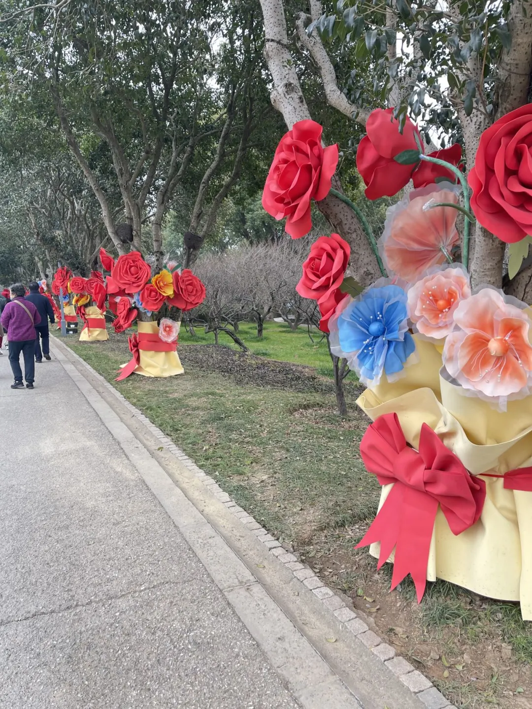 蜡梅寻春，年味浓就在梅园