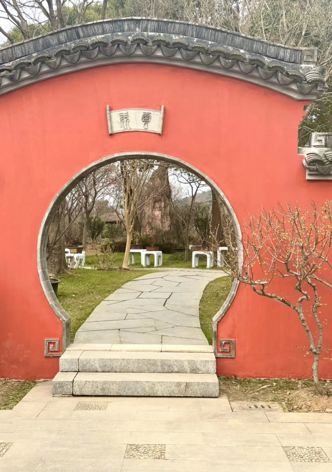 央妈审美下的梅园真的爆美‼️