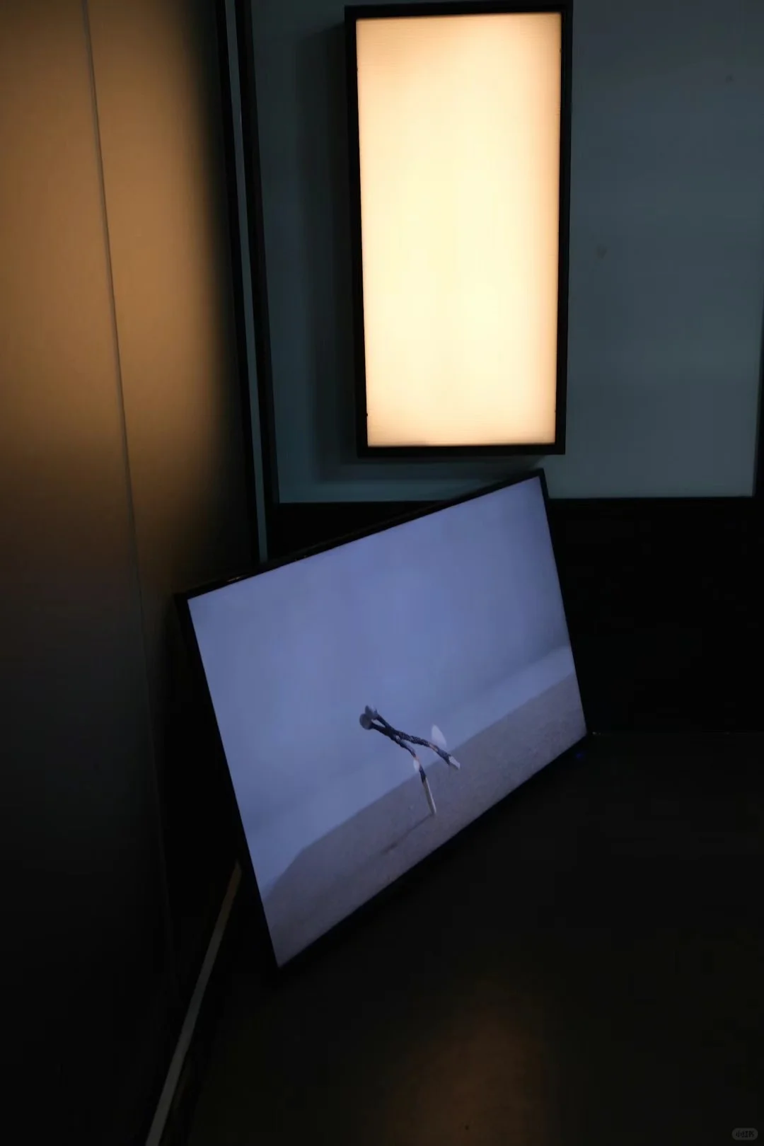 不泛滥艺术家|路淞 Song Lu