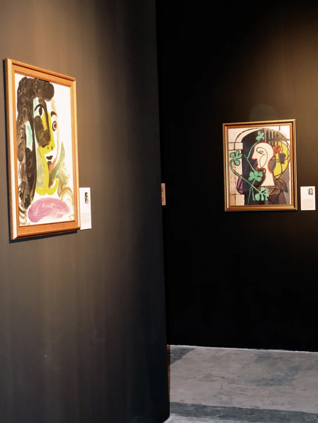 逛展plogヽ(•̀ω•́ )ゝ偶遇毕加索