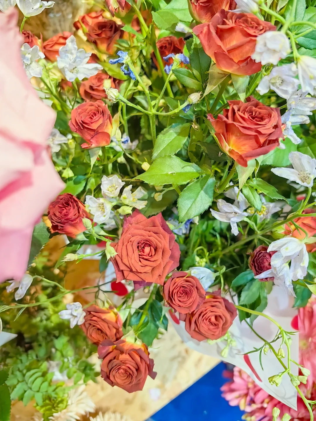 中国国际花卉园艺展览会（三十）