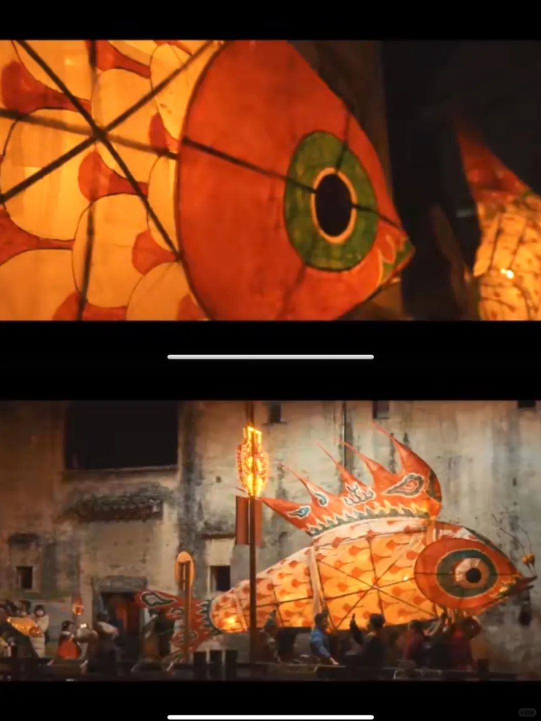 蜡梅寻春，年味浓就在梅园