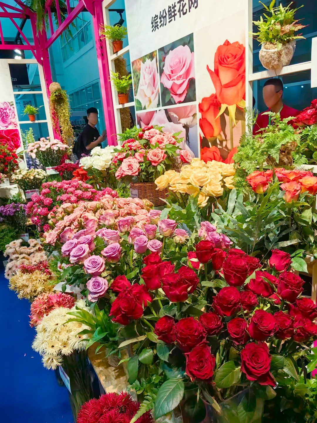 中国国际花卉园艺展览会（三十）