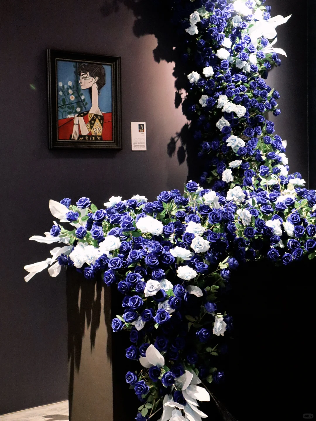 逛展plogヽ(•̀ω•́ )ゝ偶遇毕加索