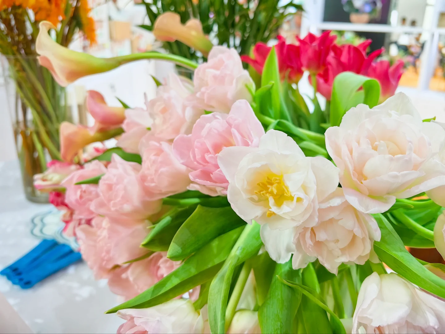 中国国际花卉园艺展览会（二十七）