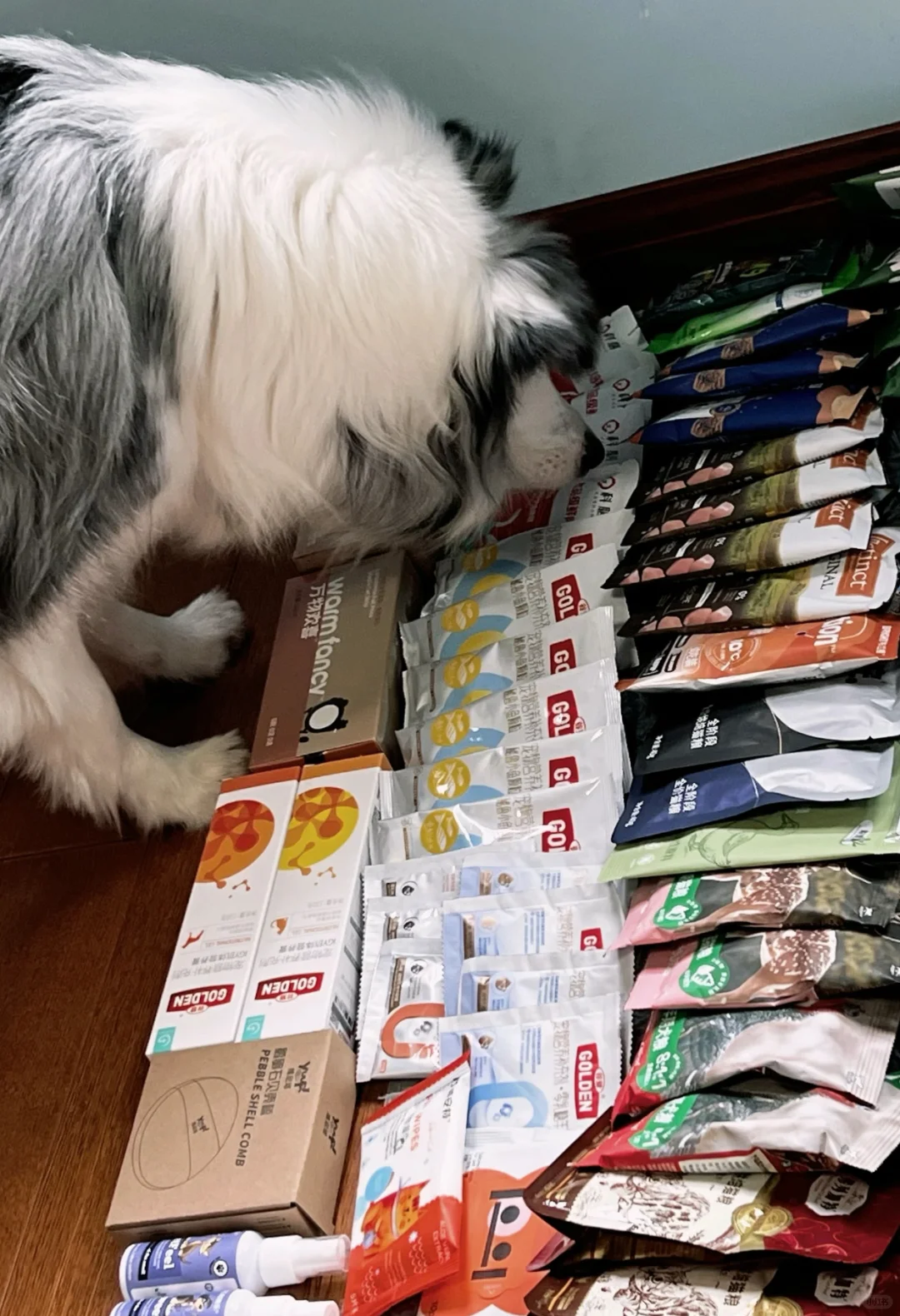 2月北京京宠展,27-28两天专业日特惠?