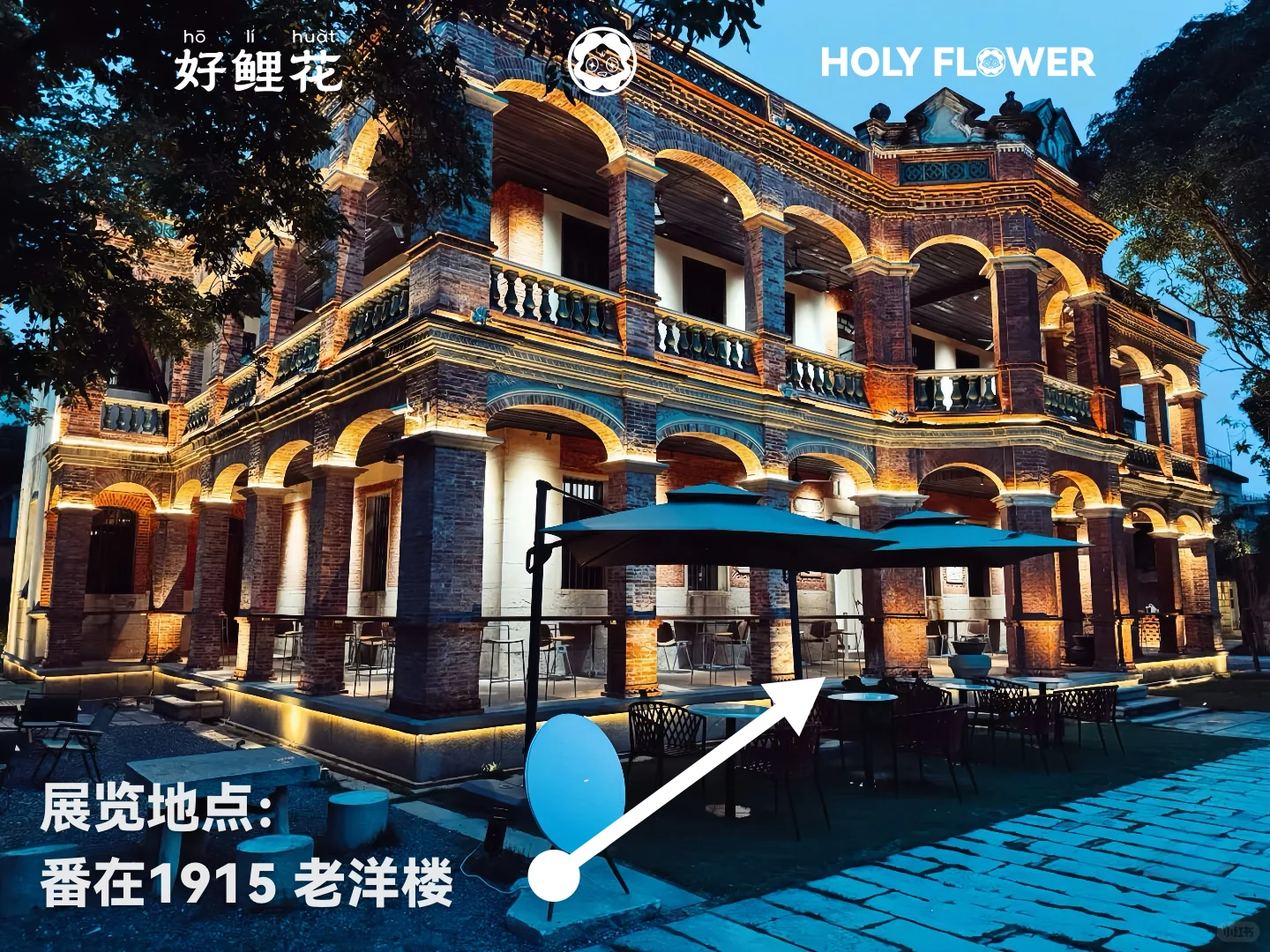 泉州新展?｜鲜猛花开??