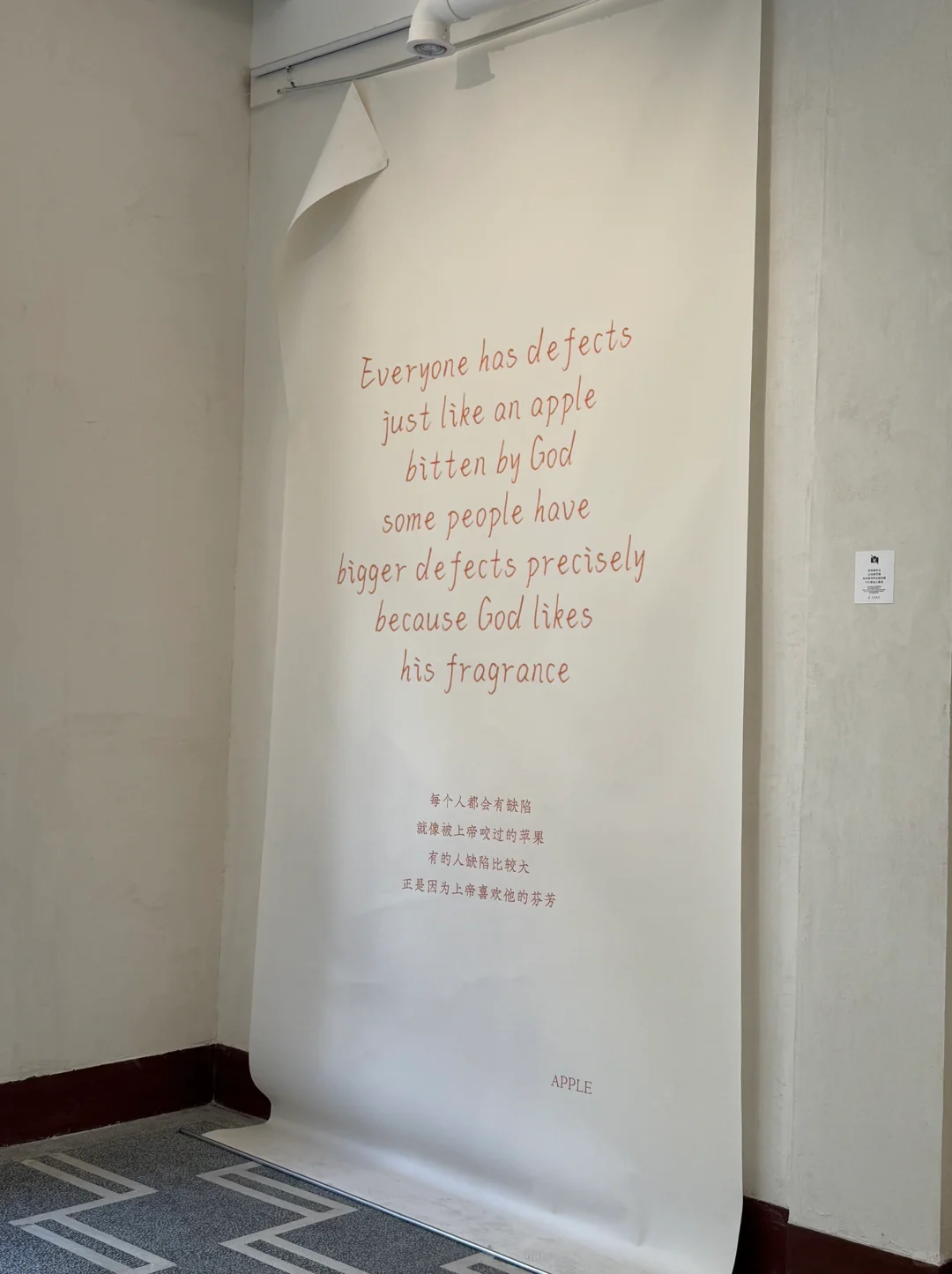 厦门新展?拍个蓝苹果 好治愈呀