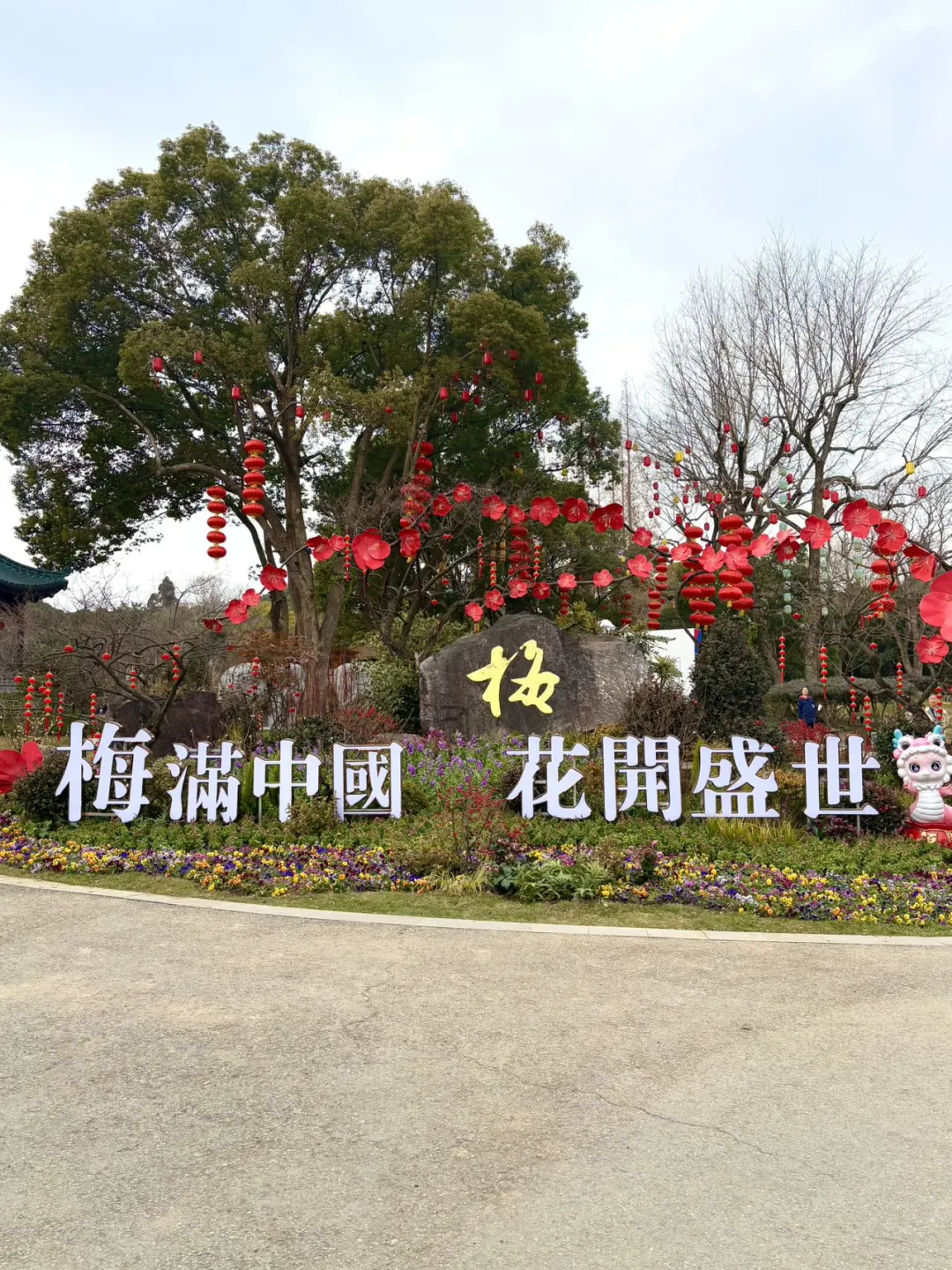 央妈审美下的梅园真的爆美‼️