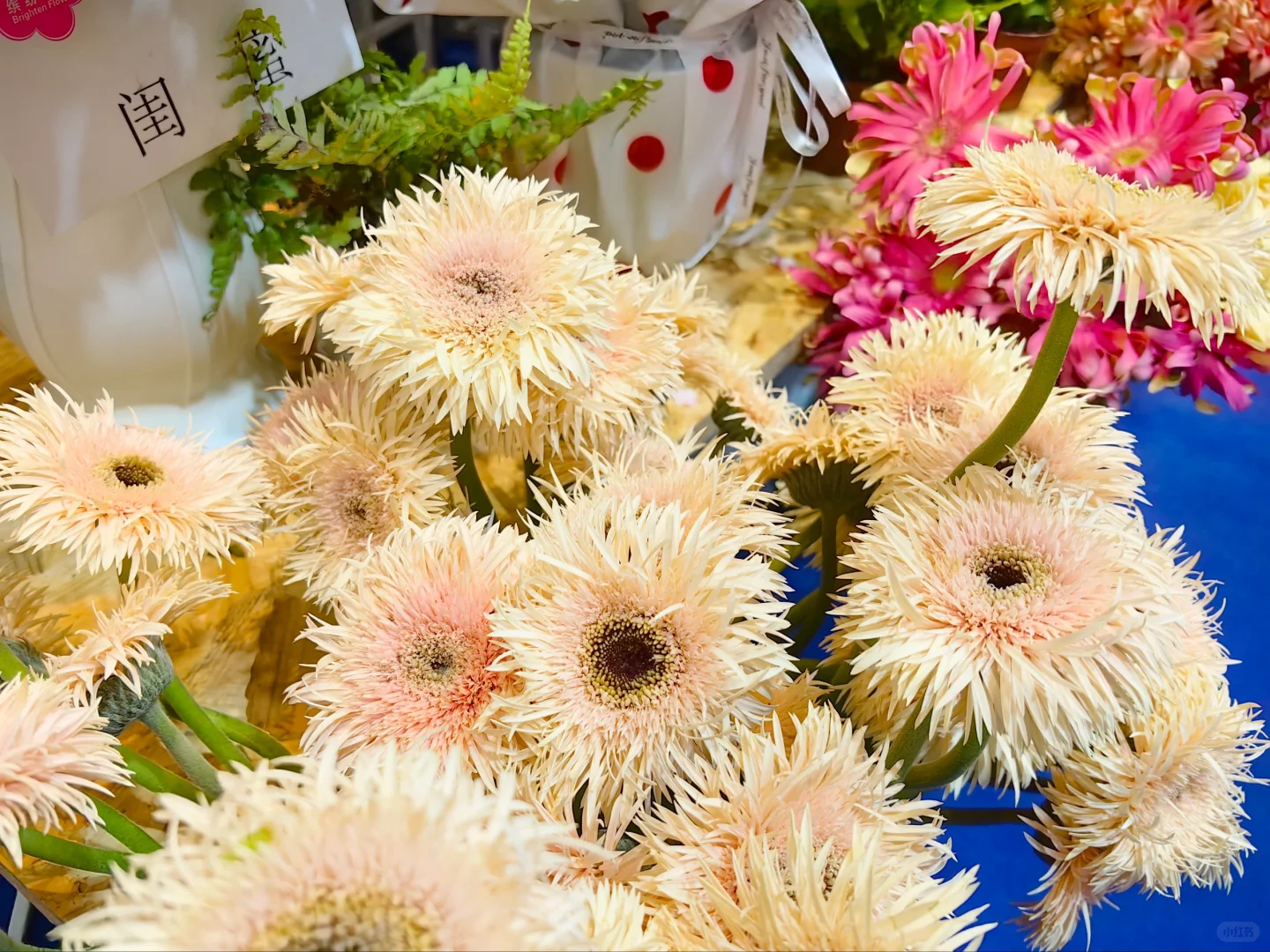 中国国际花卉园艺展览会（三十）