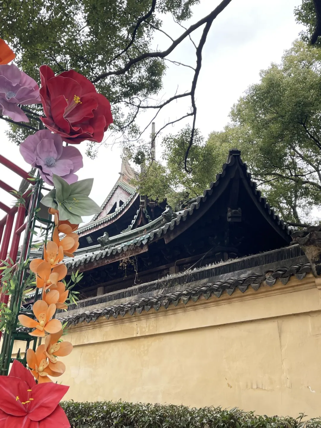 蜡梅寻春，年味浓就在梅园