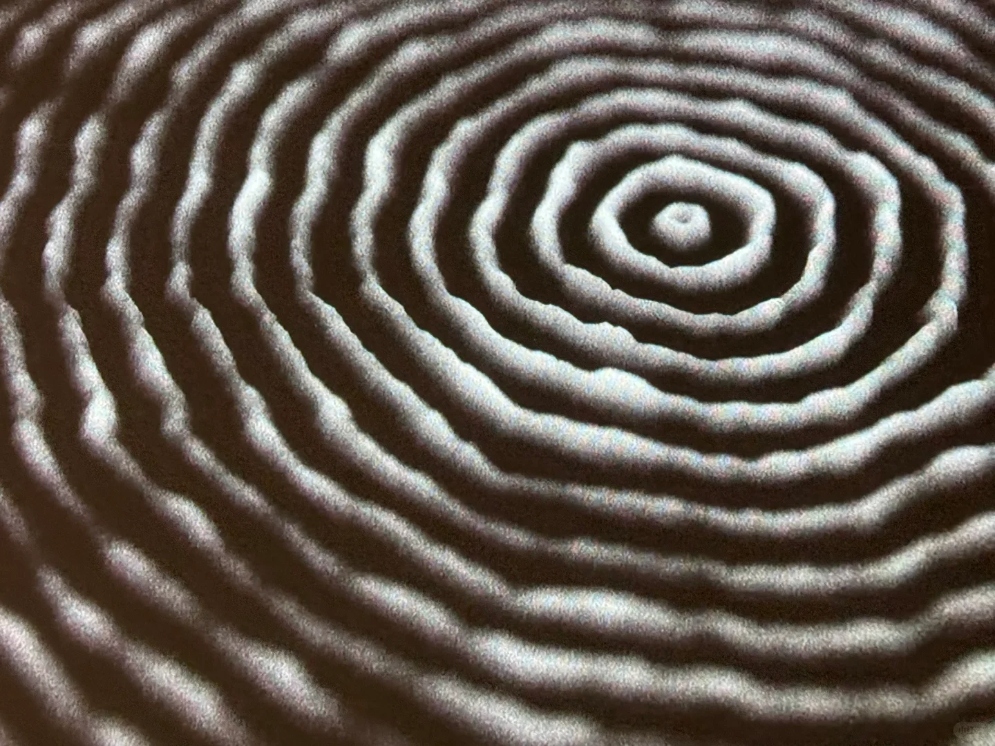 798本月值得去的展览!