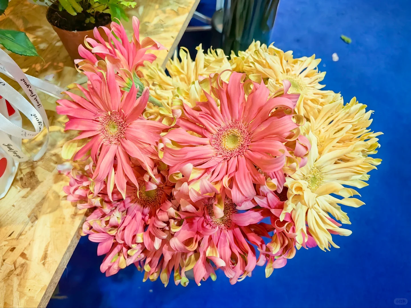 中国国际花卉园艺展览会（三十）