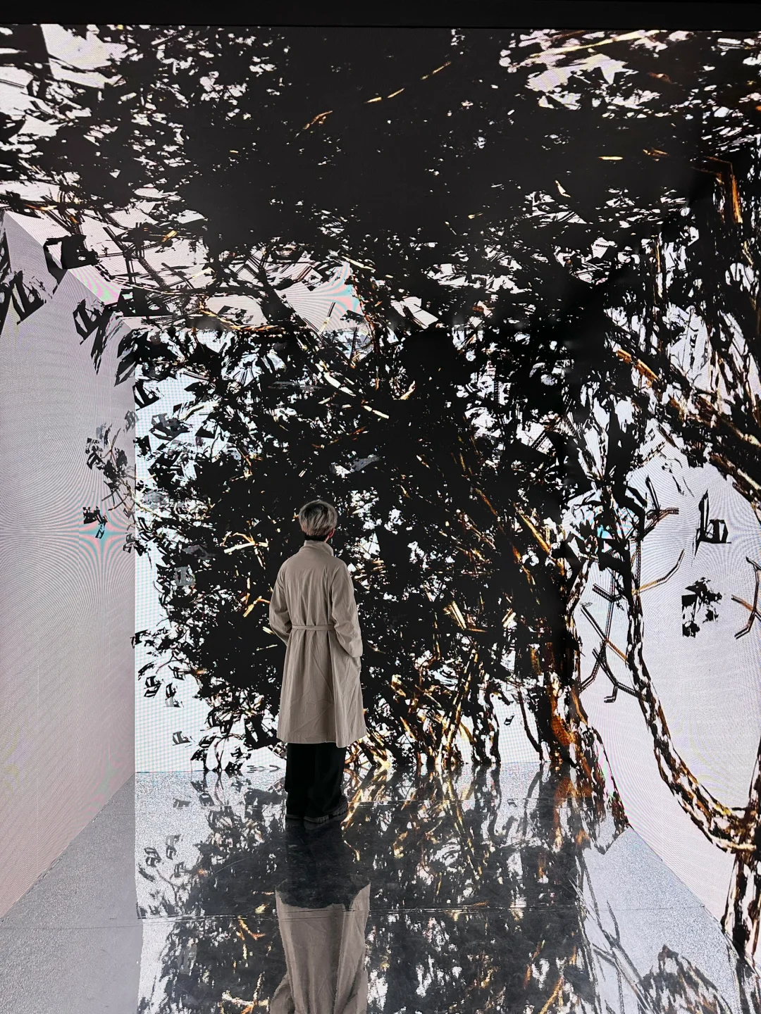 深圳新展！文字艺术…太震撼了！（live图)