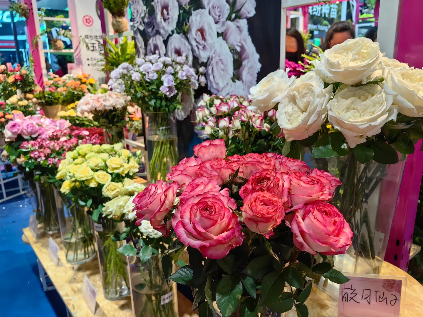 中国国际花卉园艺展览会（三十）