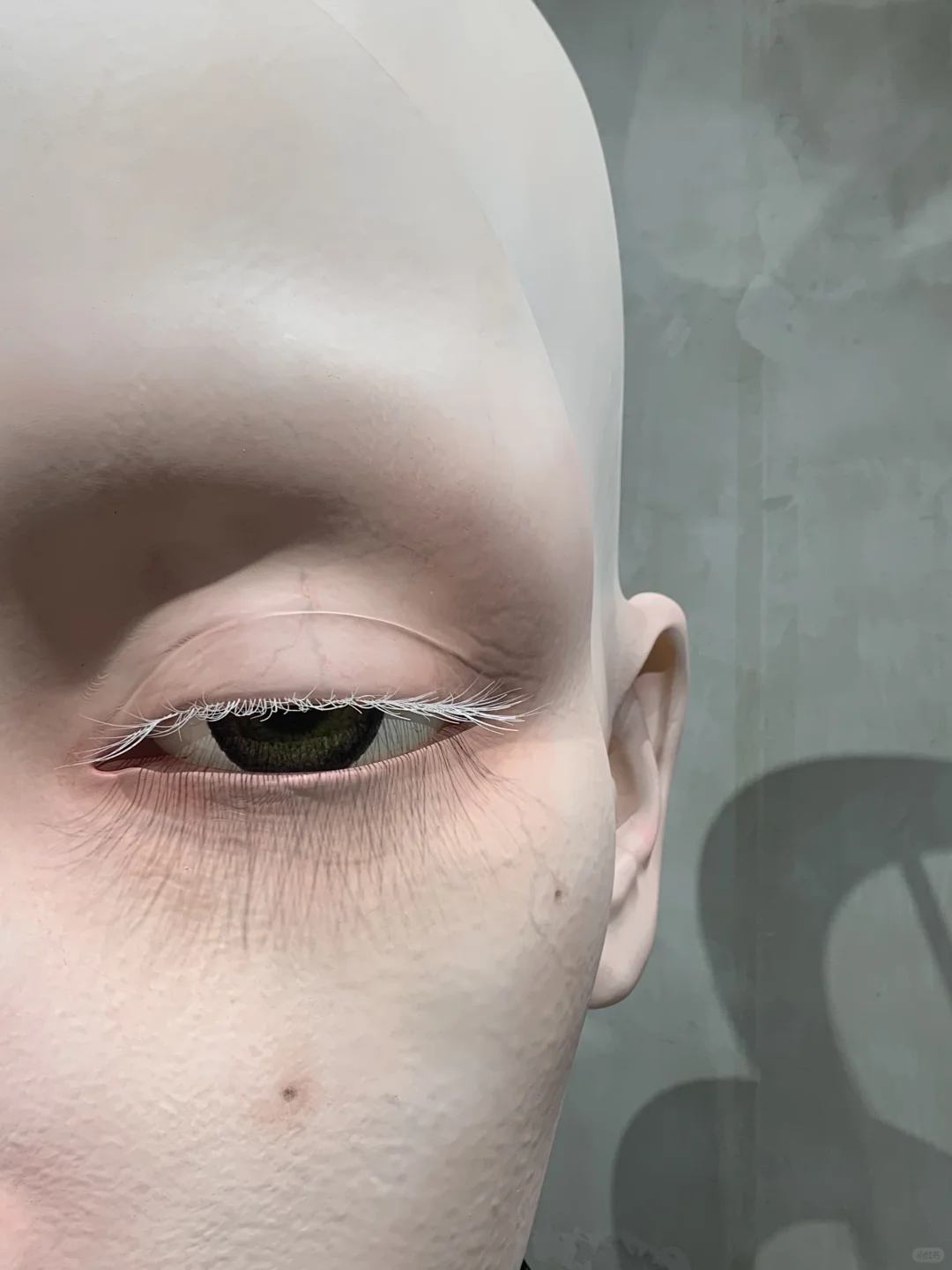 成都新展！不去上海！！成都也有了！！！