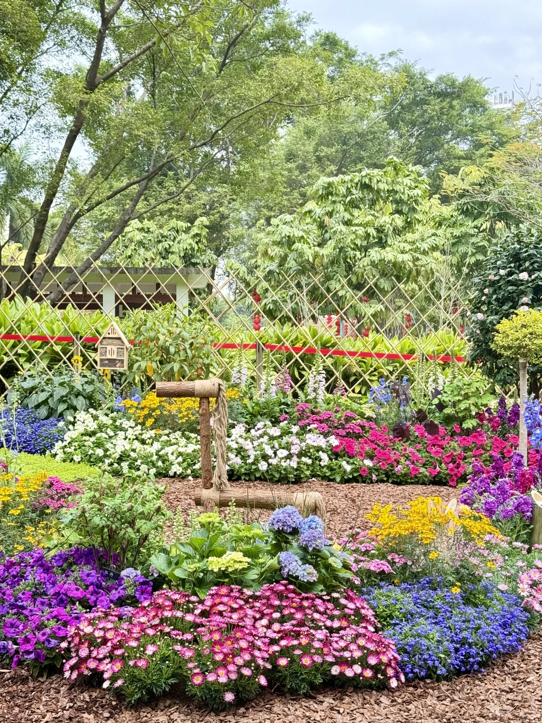 太美了！！！广州浪漫的莫奈花园，不愧为花城！！