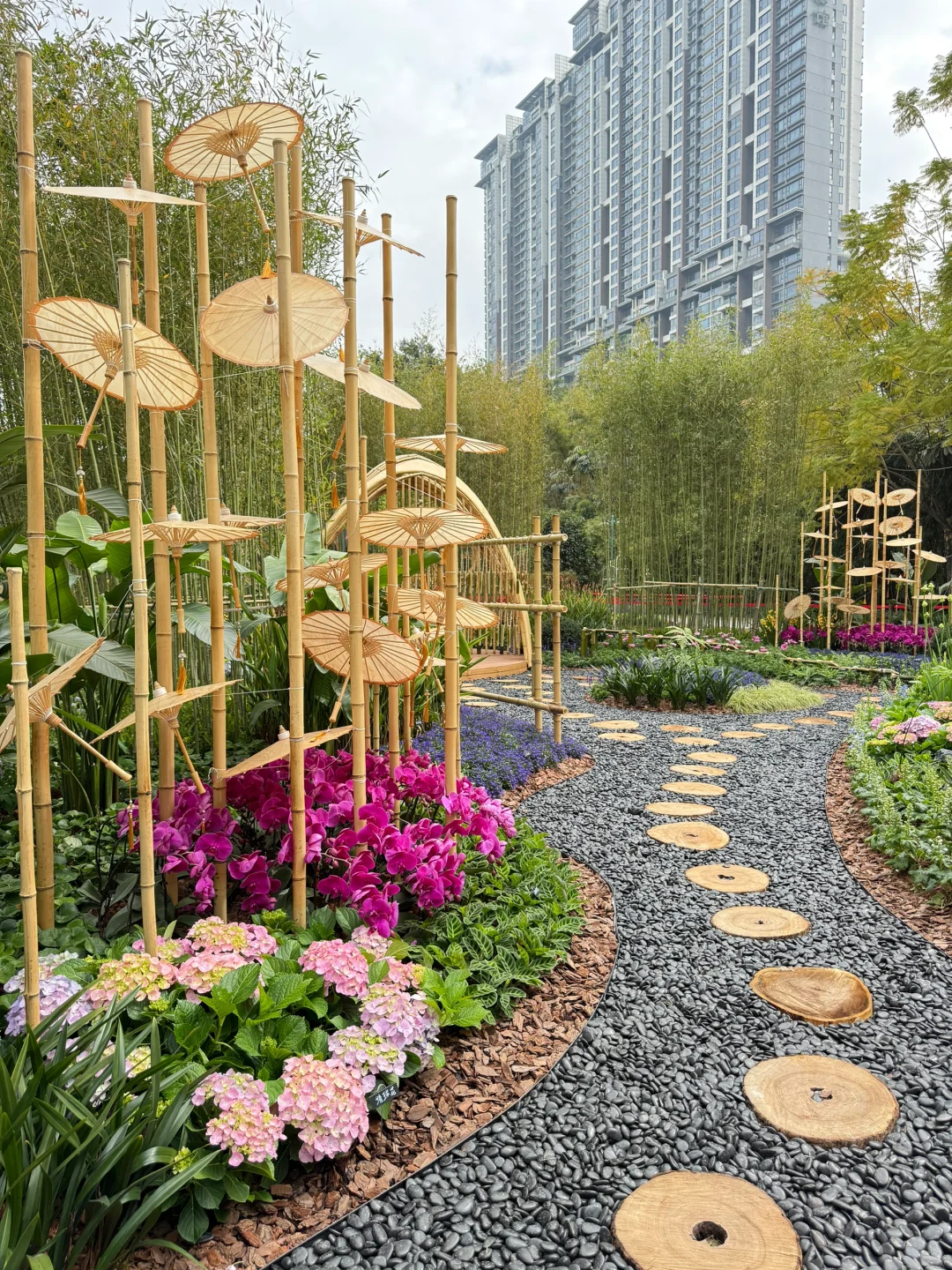 太美了！！！广州浪漫的莫奈花园，不愧为花城！！