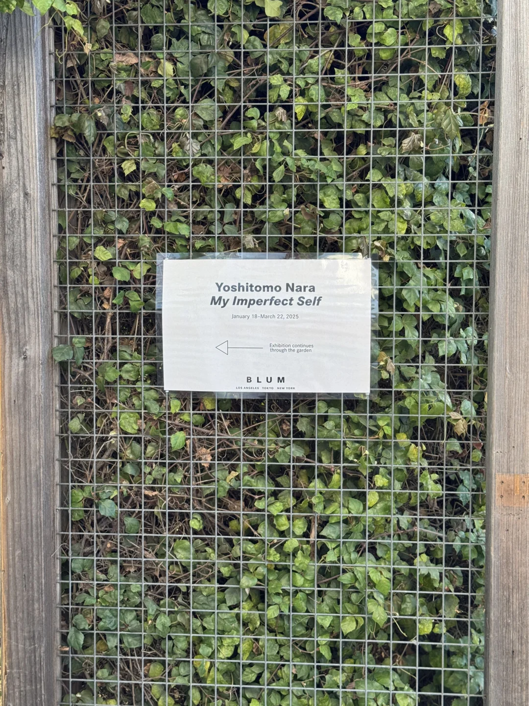 洛杉矶｜这是不花钱能看的奈良美智展啊