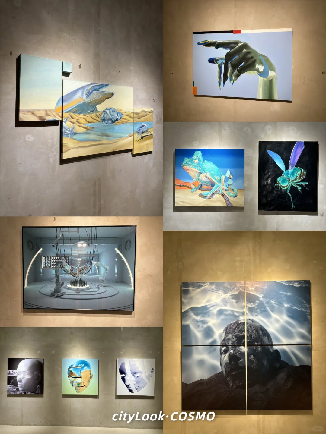 ?没去上海，就在成都，巨人展终于有了