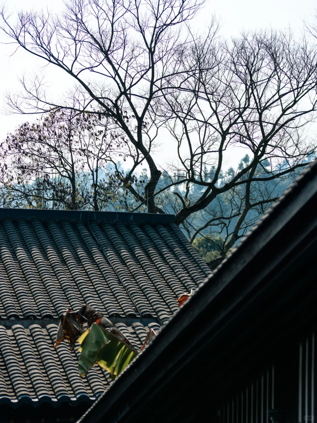 在邛崃!两天一晚人均500+?附攻略!