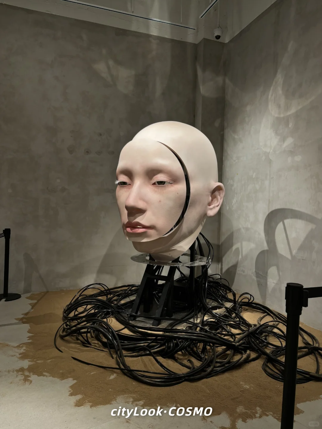 ?没去上海，就在成都，巨人展终于有了